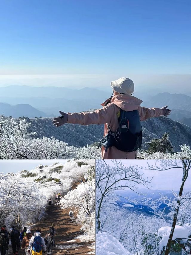 雪後徒步上龍王山，都不想下來了，原來是因為她