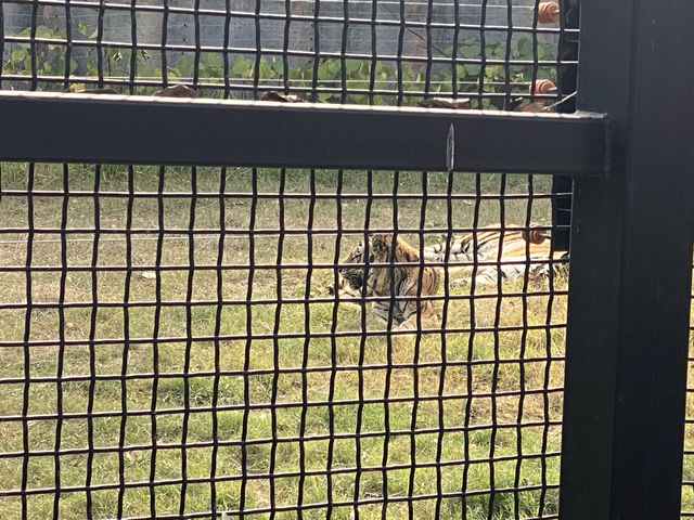 在武漢·武漢動物園新手入園攻