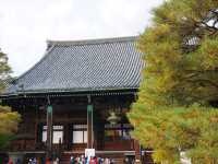 打卡京都清涼寺