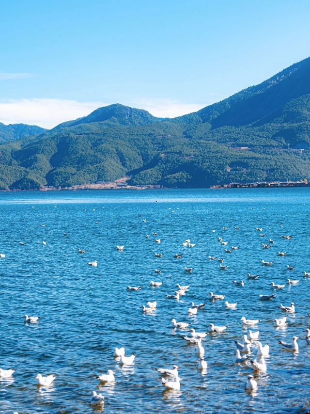 大自然的藍寶石，瀘沽湖