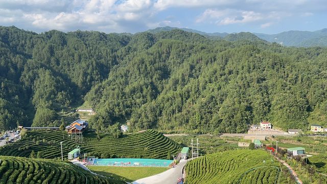 春遊神農架