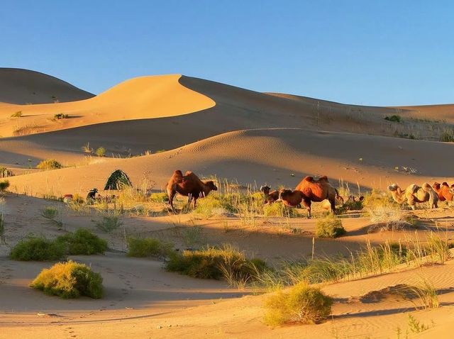 內蒙古阿拉善巴丹吉林沙漠旅遊攻略：中國最美