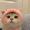 Sparkle_890_Cook