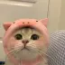 Sparkle_890_Cook