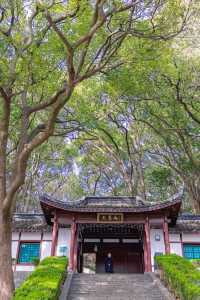 上海踏青爬山 挑戰最高峰天馬山