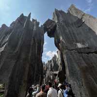 Kunming-Stone forest 