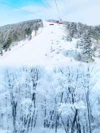 小眾地‖呼蘭河口濕地玩雪