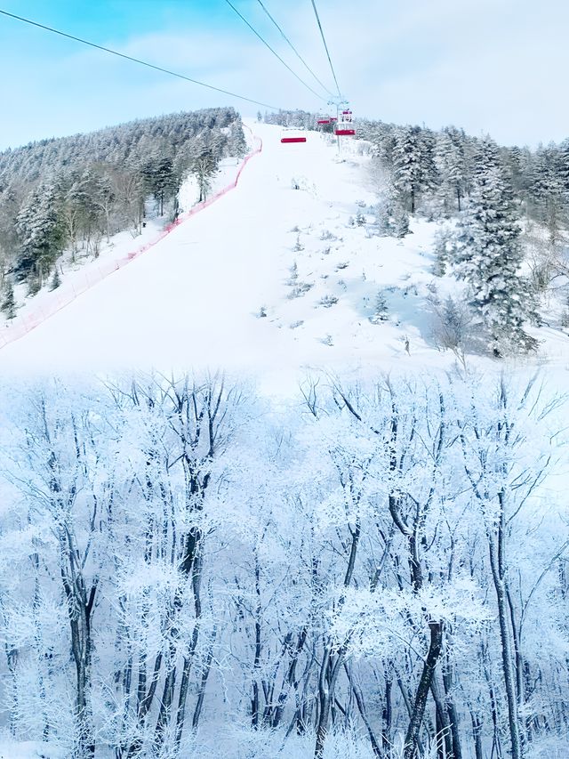 小眾地‖呼蘭河口濕地玩雪