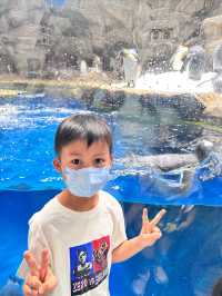 香港海洋公園免排隊攻略
