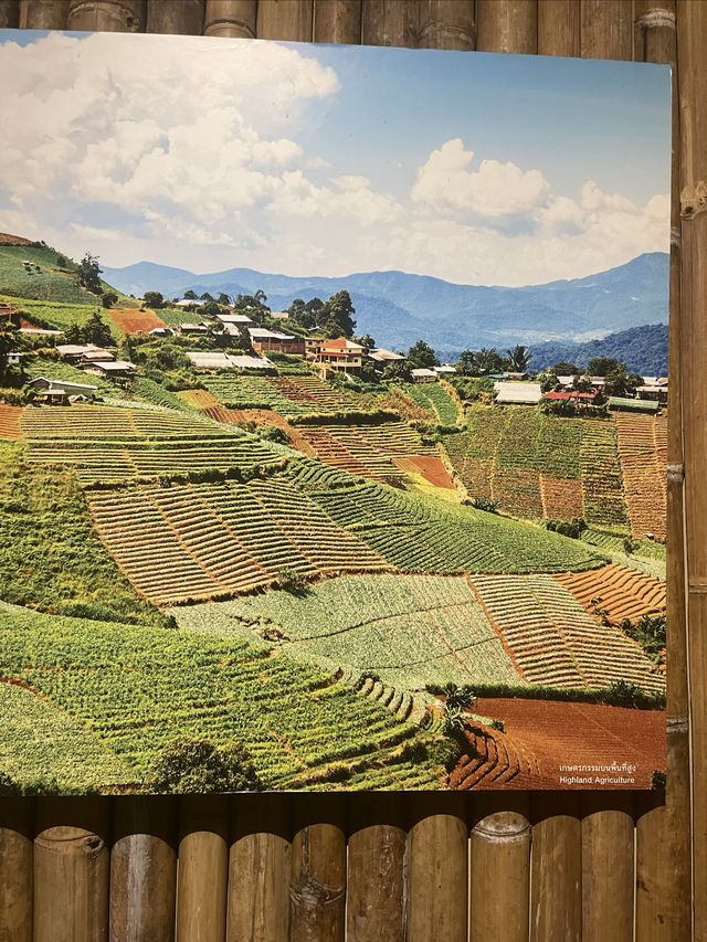 清邁歷史與文化展覽