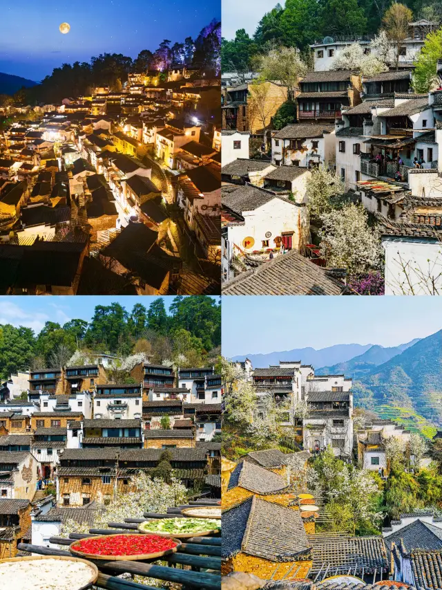 篁嶺｜全球最美梯田之一果然沒有騙我真美