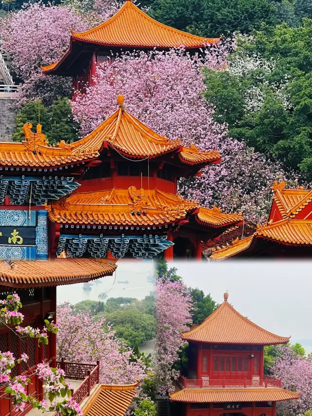 The Tianhou Palace of Guangzhou | Aspiring to great heights