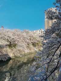 東京 我來啦