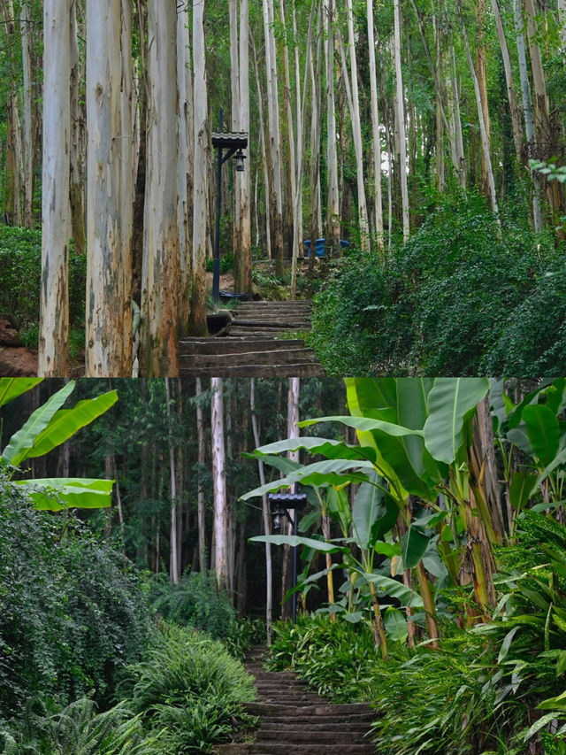 小川西秘境高山草甸見牛羊拍照yyds跟著找到馬邊這處未開發的