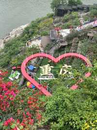 重慶週末遊|江邊超美薔薇花牆拍照美翻了！
