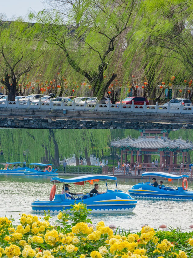 北京5家公園划船指南看這篇就夠了