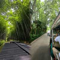 同里濕地公園：暑期小眾綠野仙蹤免費好去處