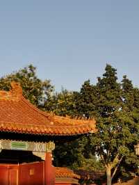 【北京景點】景山公園：俯瞰故宮全景俯仰天地之間