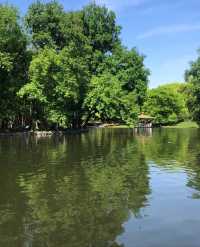 救命！姐妹們！上海共青森林公園，你們必須知道！