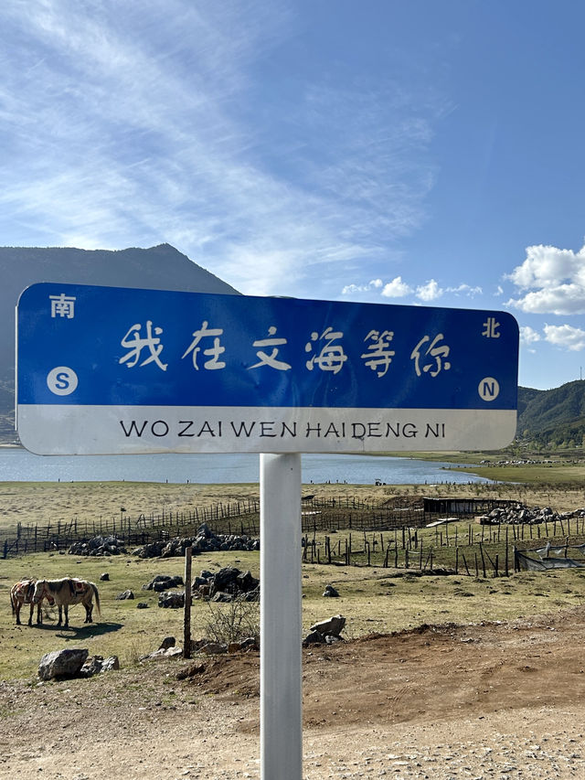 去過一次丽江就難以忘懷