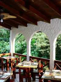🌋✨ Costa Rica's Tabacon Oasis: A Thermal Delight! 🌺🍃