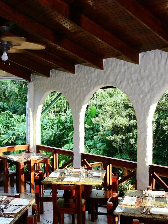 🌋✨ Costa Rica's Tabacon Oasis: A Thermal Delight! 🌺🍃