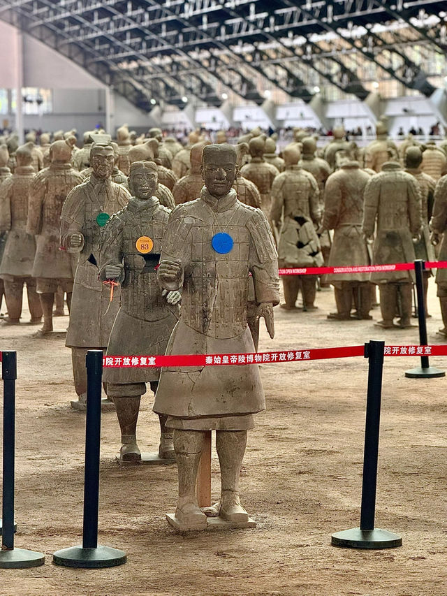西安兵馬俑真的是眼見為實的奇蹟