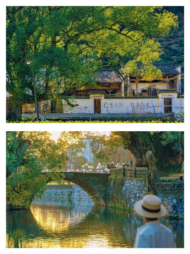景德鎮的美，在我踏足婺源之後，顯得略顯遜色