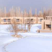 東驛敦煌 | 冬日小確幸·雪山羊肉暖鍋。