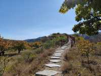 長城旅遊公路-大同守口堡。