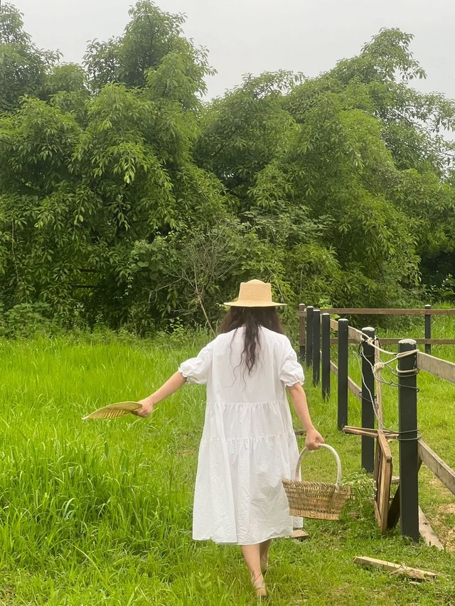 誰懂，鄉村生活帶來的治癒感！超愜意的一天