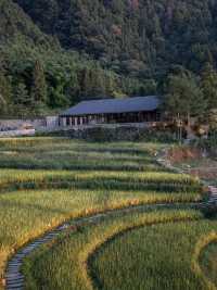 重慶·墊江|去山野稻田奔赴一場夏季童話～