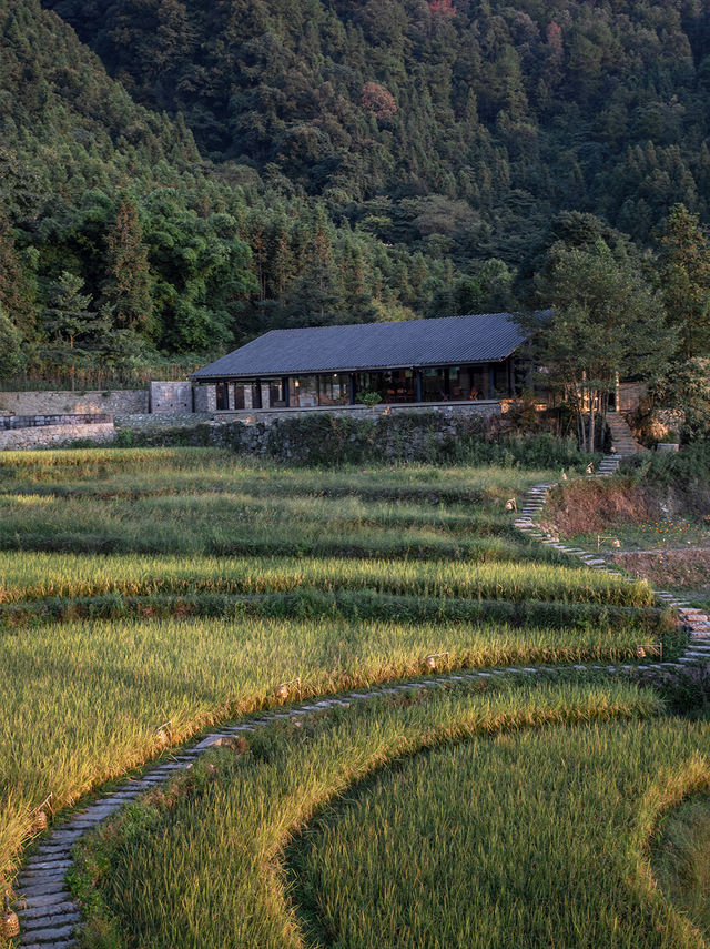 重慶·墊江|去山野稻田奔赴一場夏季童話～