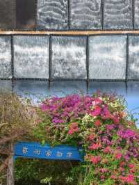 朋友圈問瘋了這麼美的海邊居然無遊客