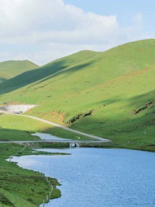 The Dahaicao Mountain in summer is Yunnan's own Altai!
