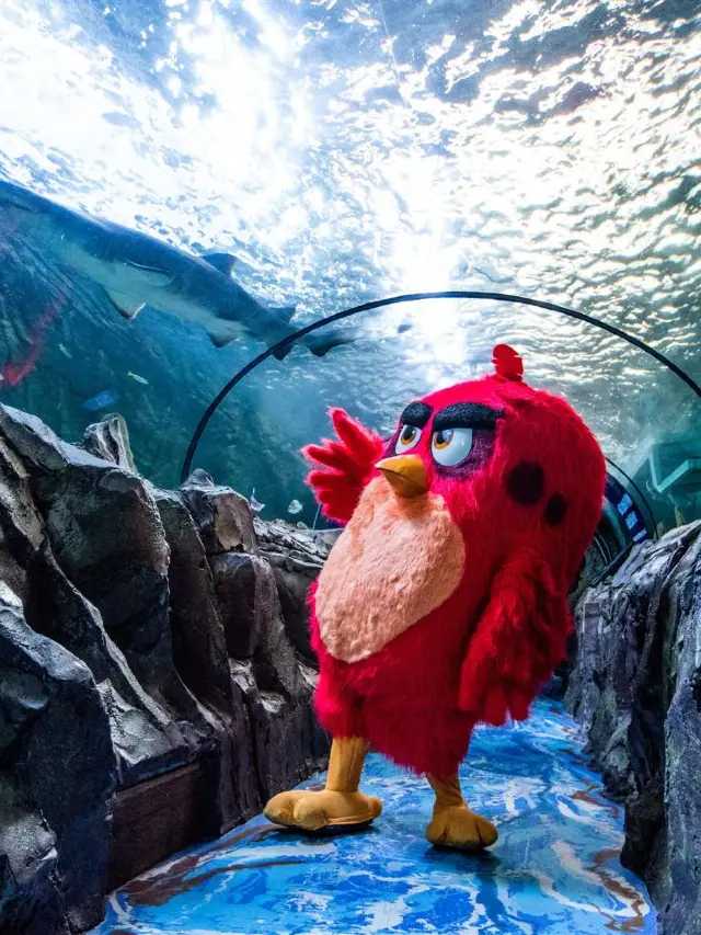 🌟 Sydney's Top 5 Family-Friendly Gems 🐨🎡