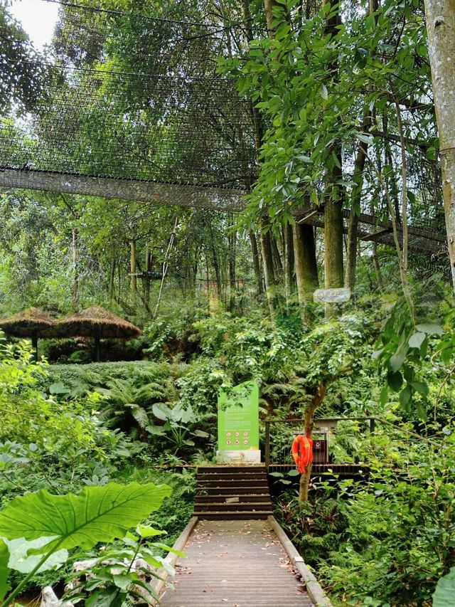 逃離喧囂，擁抱自然：南寧高峰森林公園的完美一日遊