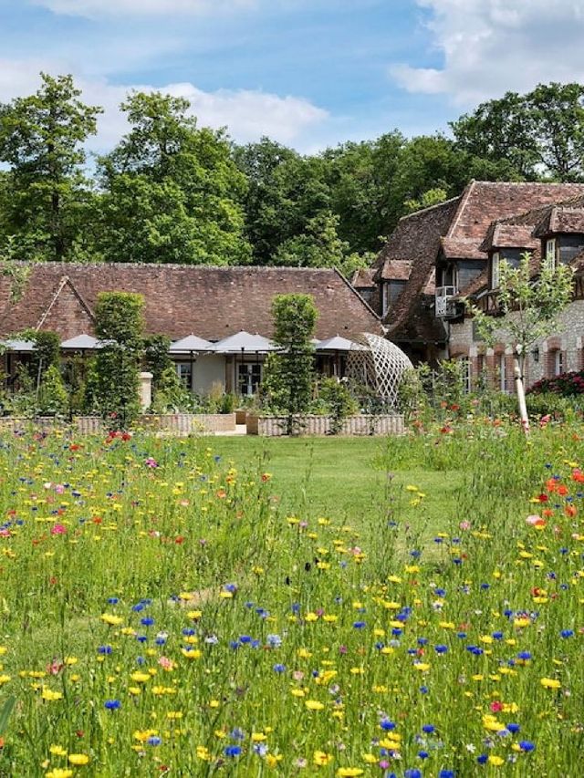 🌟🏰 French Elegance: Top Stay in Onzain! 🍷✨