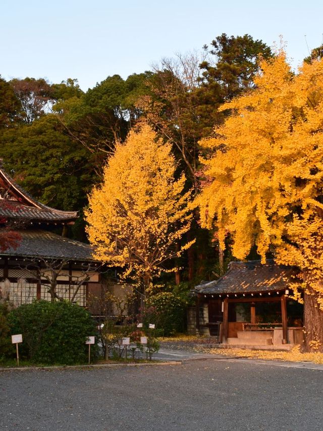 🌸 Kyoto's Serene Hideaway: Hotel Okura Okazaki Bettei 🏨✨