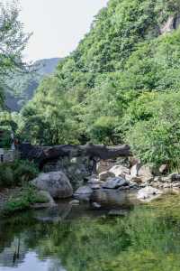 夏季避暑來這裡就對了
