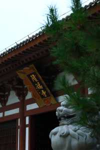 廊坊｜隆福寺——免費齋飯、舍粥