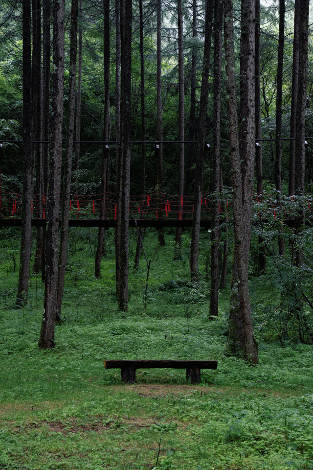 秦嶺雲深不知處這就是我理想的夏日假期