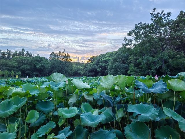 世紀公園