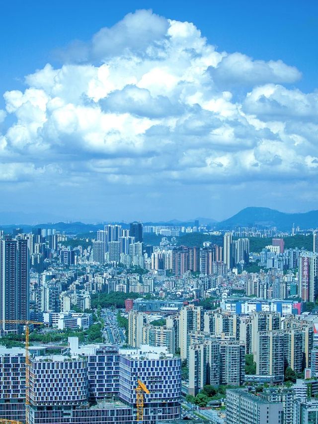 🌟 Shenzhen Staycation Gems: Pullman's Artistic Retreat 🏨✨