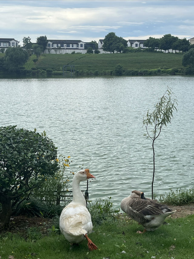 一年四季都可以來小住的地方