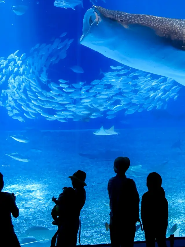 Travel to Okinawa in August, this article is enough! Explore Okinawa!