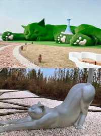 走進白馬湖：體驗濕地公園的寧靜