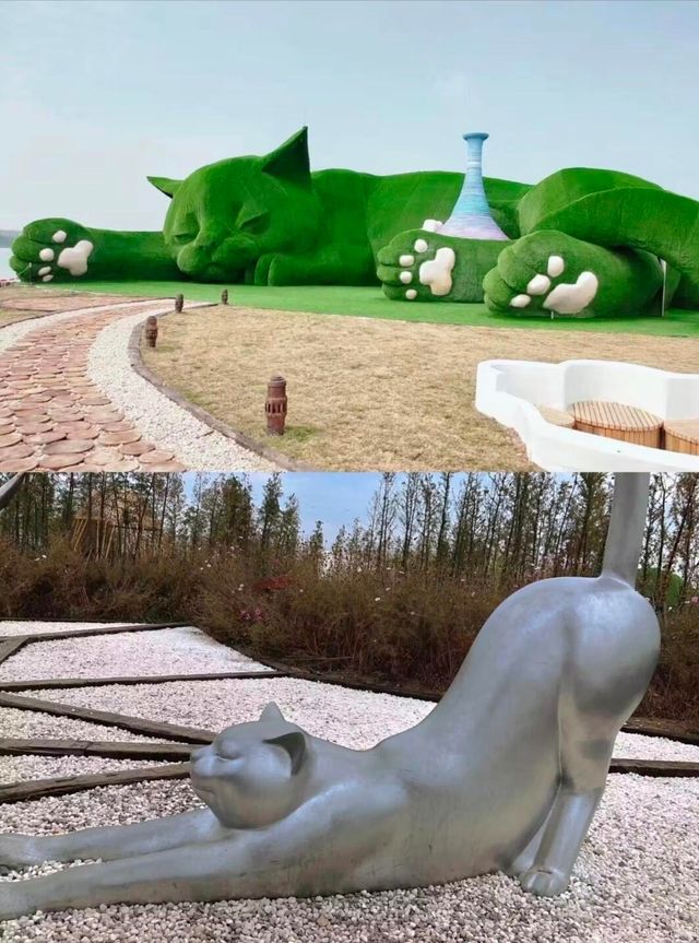 走進白馬湖：體驗濕地公園的寧靜