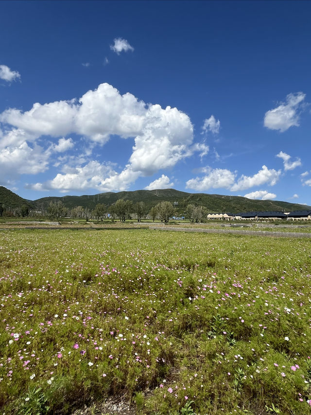 國保打卡：太子城遺址（國八）& 重光塔（國七）