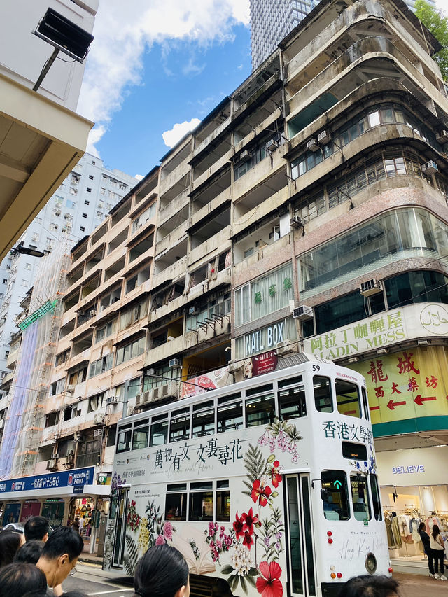 Discover Causeway Bay in Hong Kong 🇭🇰 